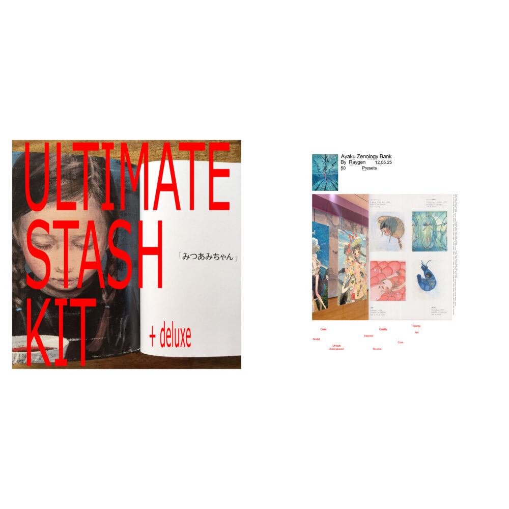 ultimate stash kit deluxe  + ayaku zenology bank
